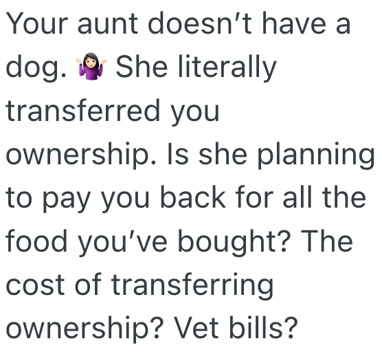 Screenshot 2025 03 10 at 10.21.24 PM A Family Took In Their Aunts Dog They Thought It Was For Keeps, But When She Wanted It Back, They Had To Make A Tough Choice